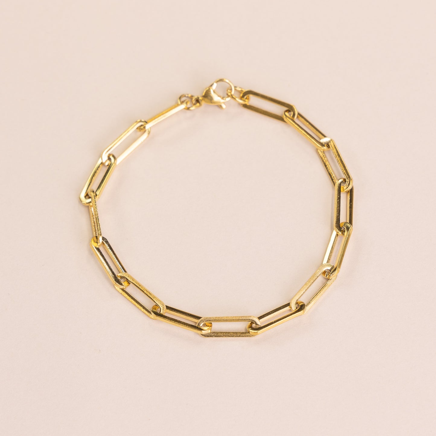 Clip Chain Bracelet
