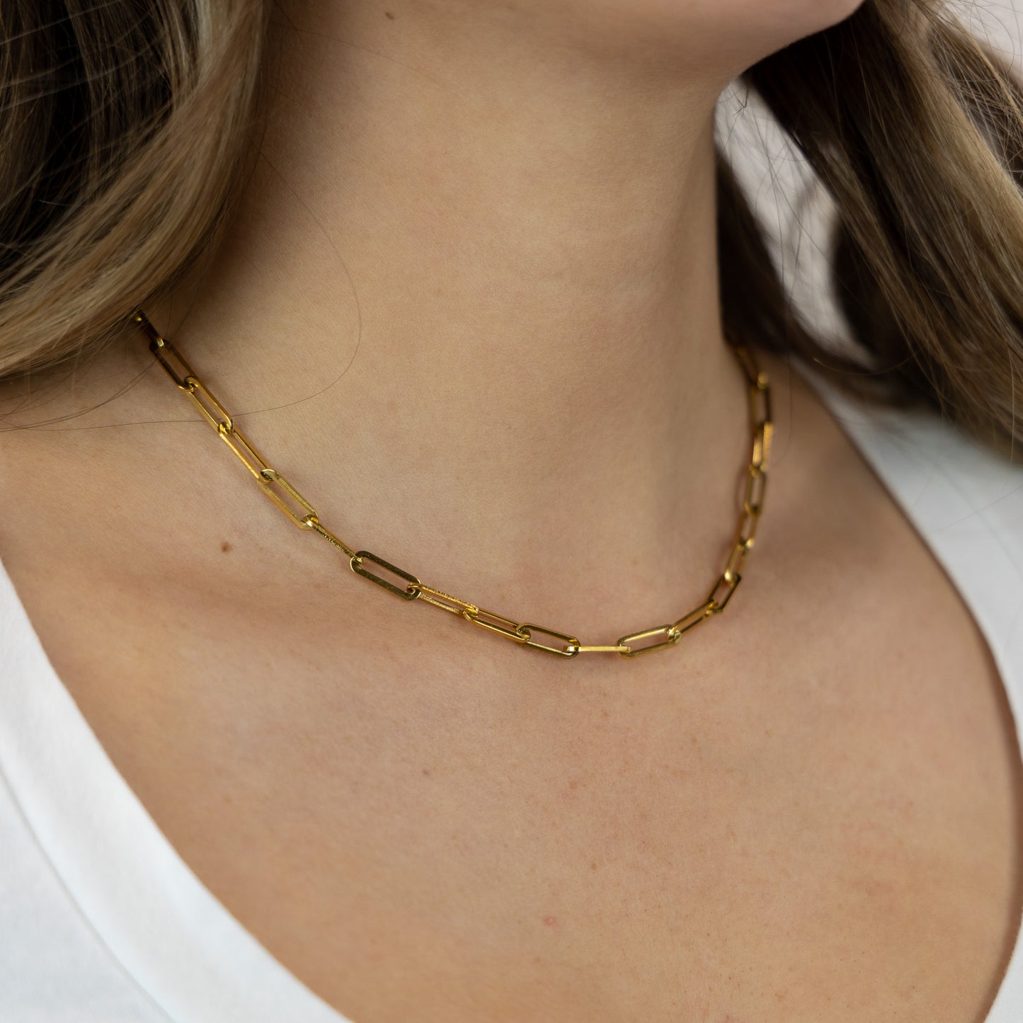 Clip Chain Necklace